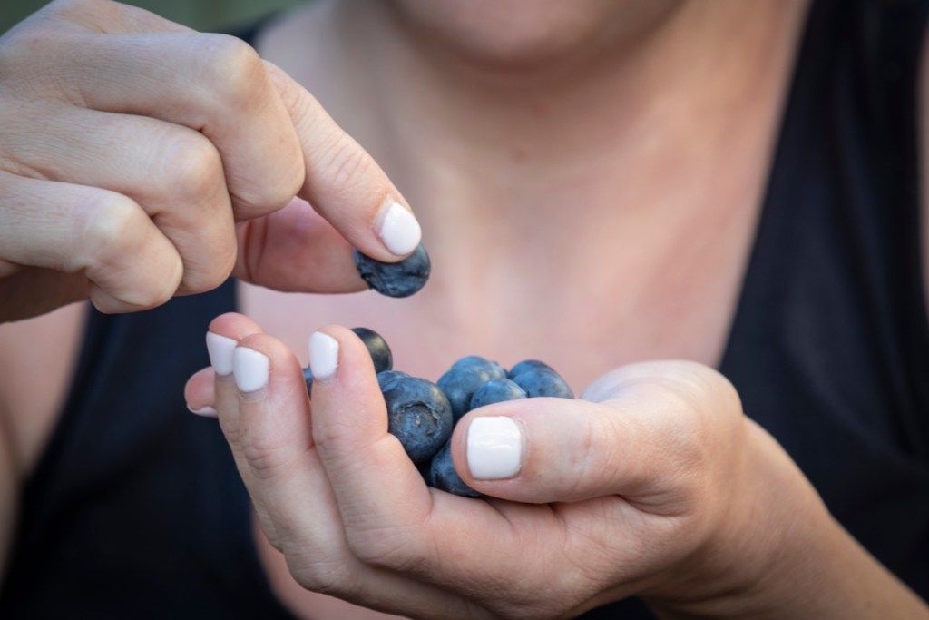Wanita Makan Blueberry Menurunkan Tekanan Darah Secara Semula Jadi