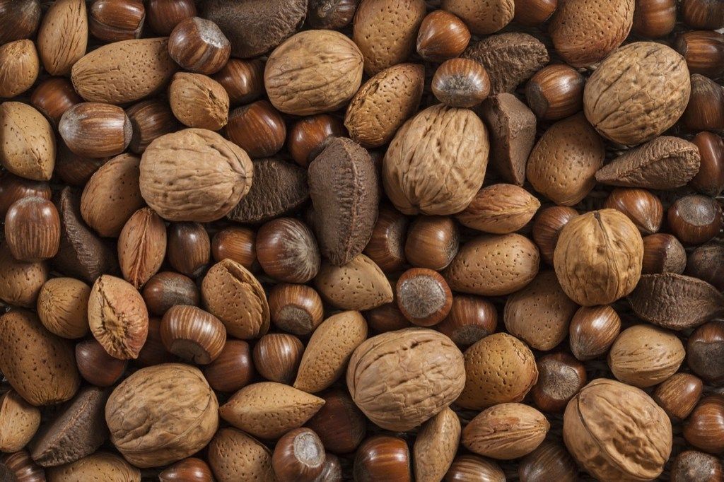 pelbagai jenis kacang dalam cengkerang