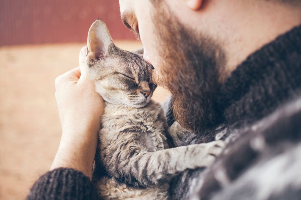 å redde en kattunge gir deg den moralske høyden, så adopter et kjæledyr