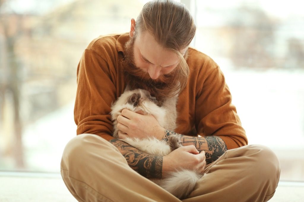 adopter en kjæledyrmann med katt