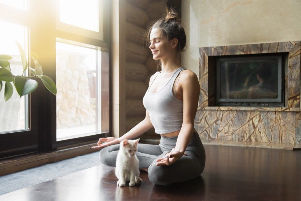 sveika katė ir moteris, užsiimančios jogos meditacija