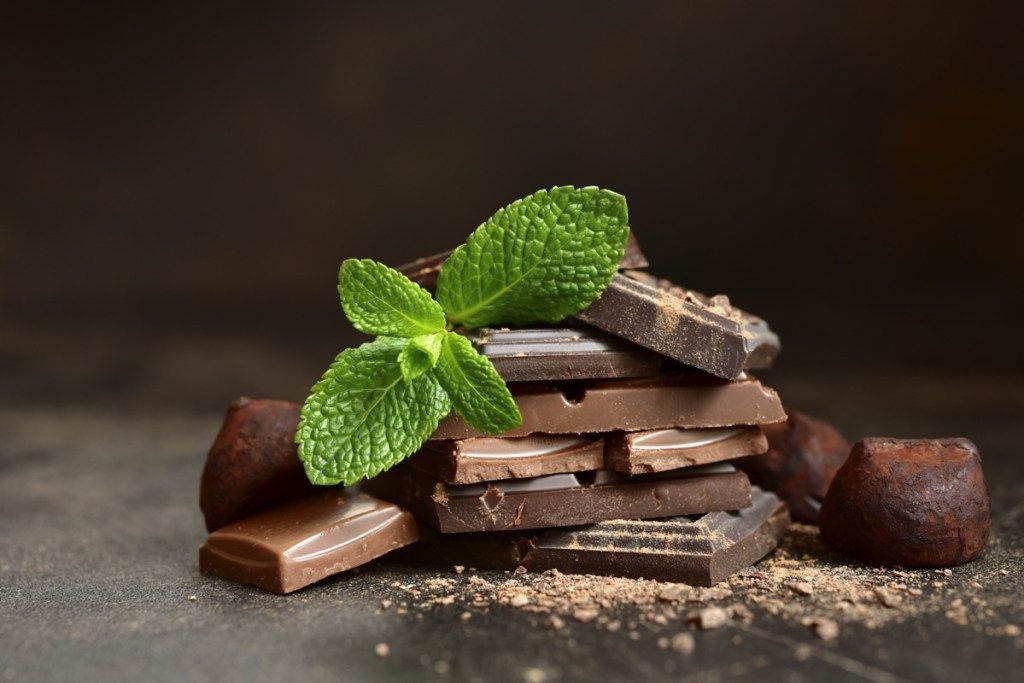 Kawałki czekolady z liśćmi świeżej mięty na ciemnym tle łupków, kamienia lub betonu.