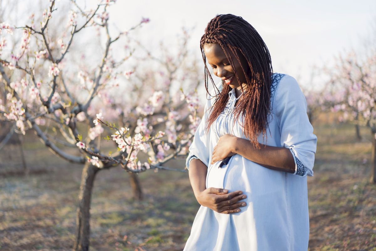 Chân dung người phụ nữ da đen đang tận hưởng thời kỳ mang thai tại vườn cây ăn trái đang nở rộ