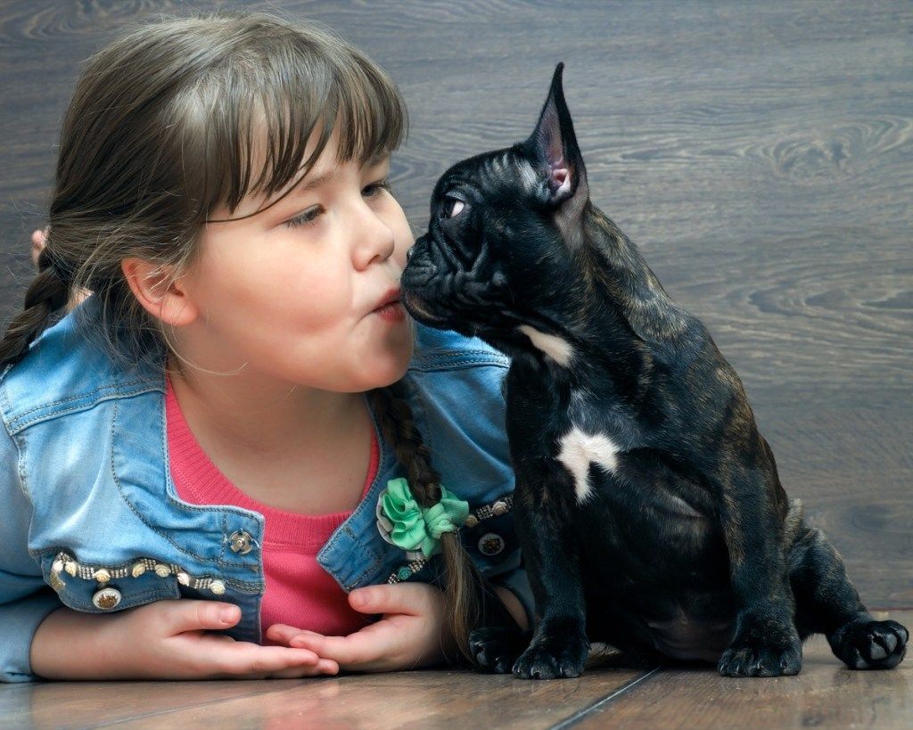 nuori tyttö puhaltaa ranskalainen bulldog