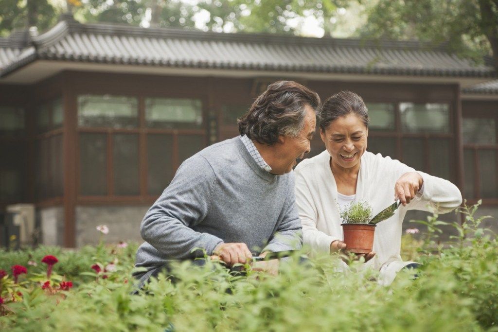 一緒に植物を鉢植えする年配のアジアのカップル