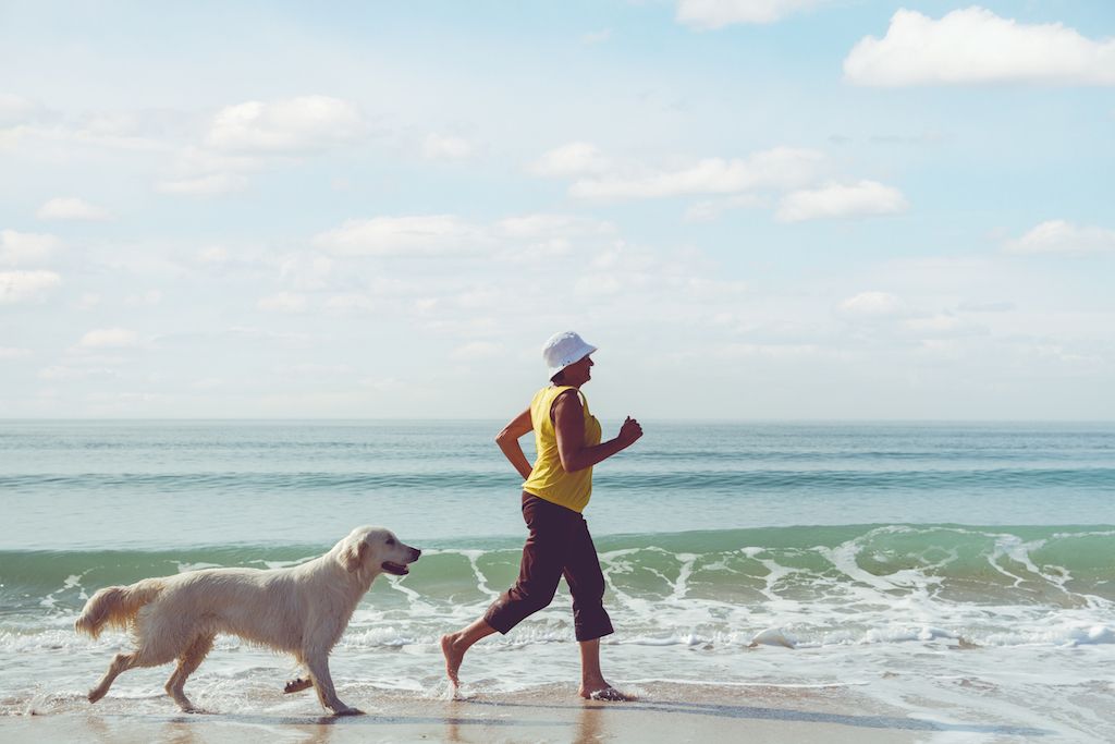 con chó chạy trên bãi biển với chủ của mình