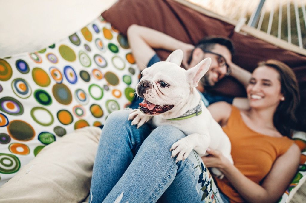 Pár so svojim psom, ktorý im pomôže zbaviť sa stresu