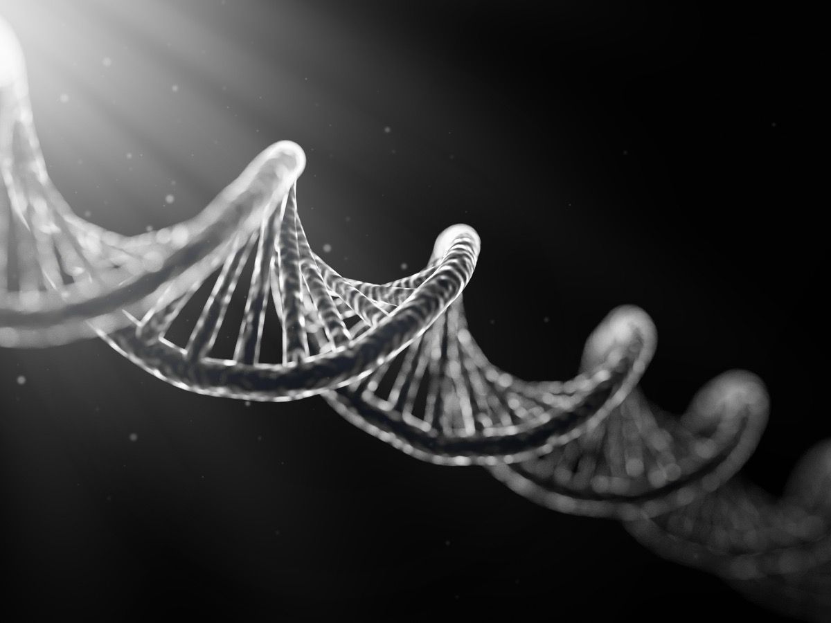 czarno-biała ilustracja DNA, największe wydarzenie każdego roku