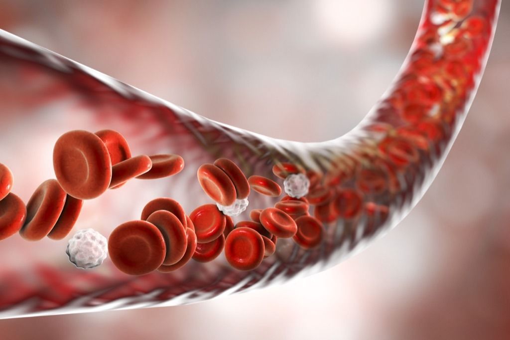 crvenih krvnih stanica i testosterona