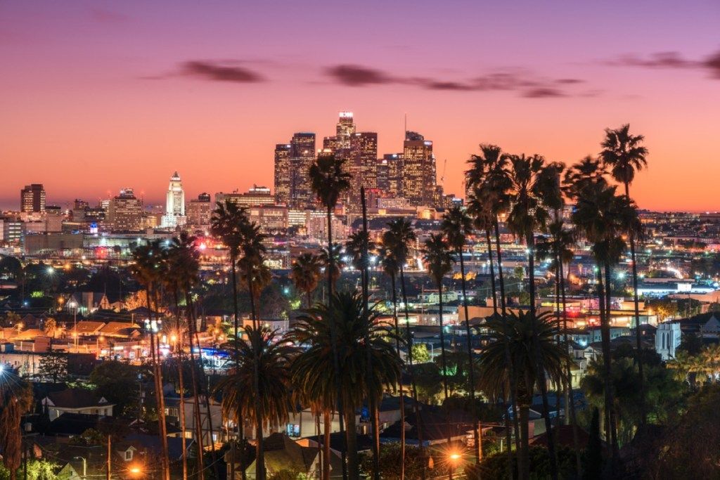 Los Angeles şehir manzarası