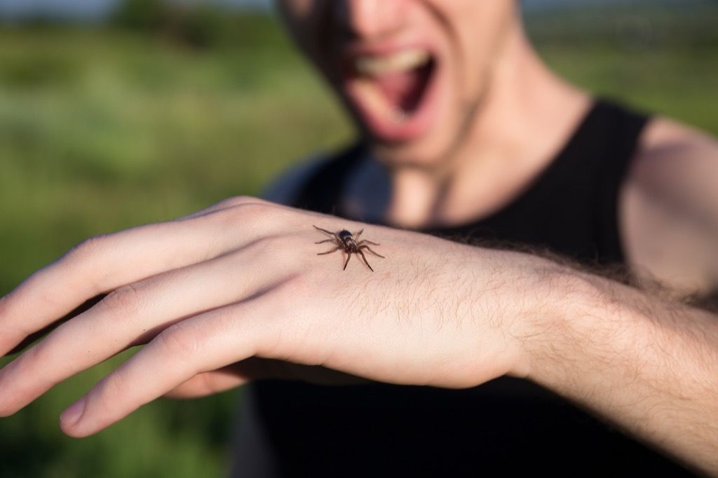 Mannen är rädd för spindlar