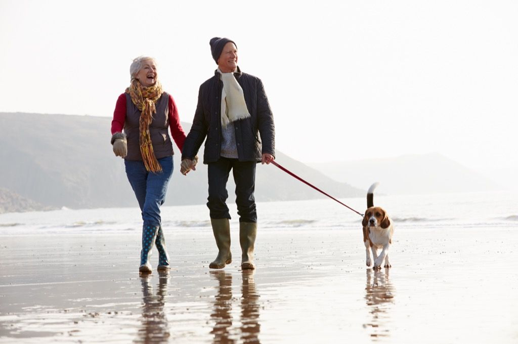 כלבים יכולים לעתים קרובות לעזור לבעליהם לחיות זמן רב יותר
