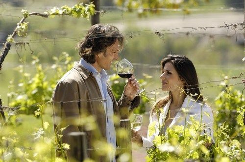 Paar seisab viinamarjaistanduses