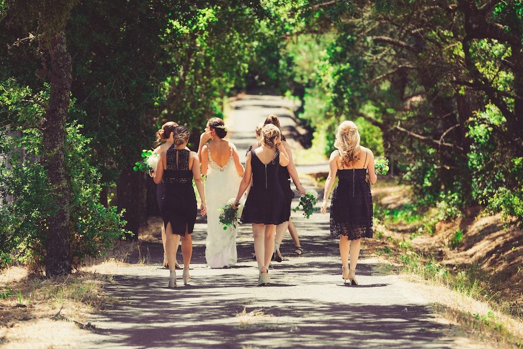 невеста и свадебная вечеринка гуляют, чтобы сделать фотографии