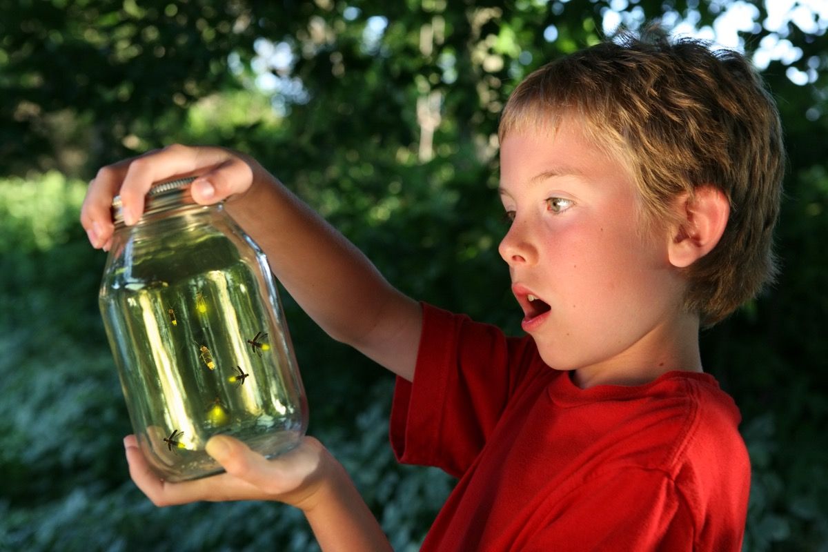 Zēns ķer fireflies masona burkā
