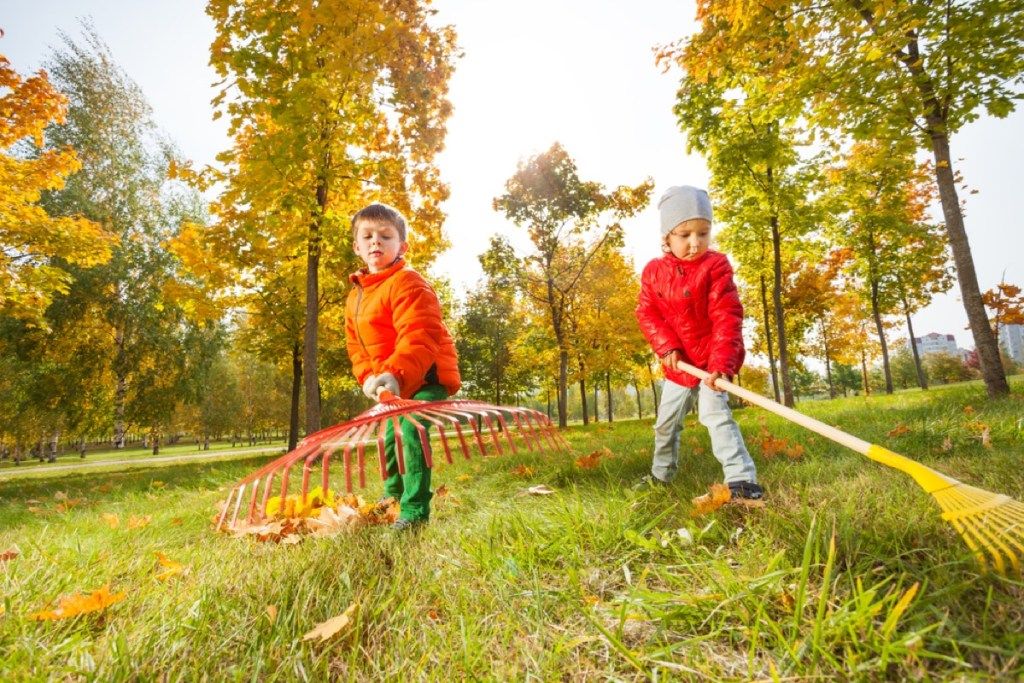 나뭇잎을 긁어 모으는 어린 아이들, 부모가 아이들에게 가르쳐야 할 기술