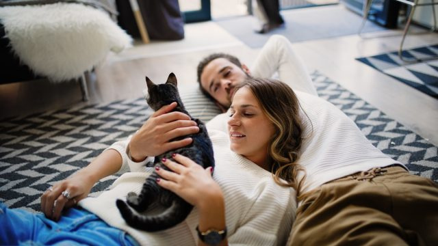   Романтична двойка у дома споделя нежност с котка