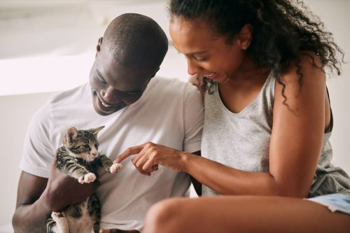  Captura recortada de una joven pareja cariñosa jugando con su gato en su dormitorio en casa