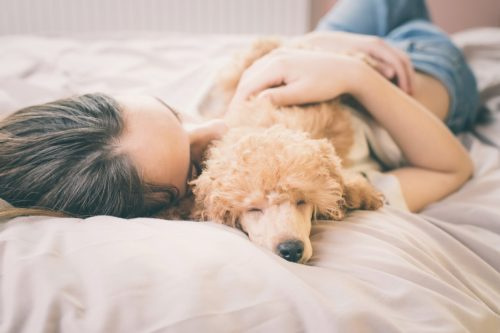   mujer durmiendo con perro en la cama