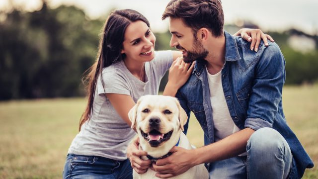 Ihmiset, joilla on näitä 6 koirarotua, ovat parhaita romanttisia kumppaneita