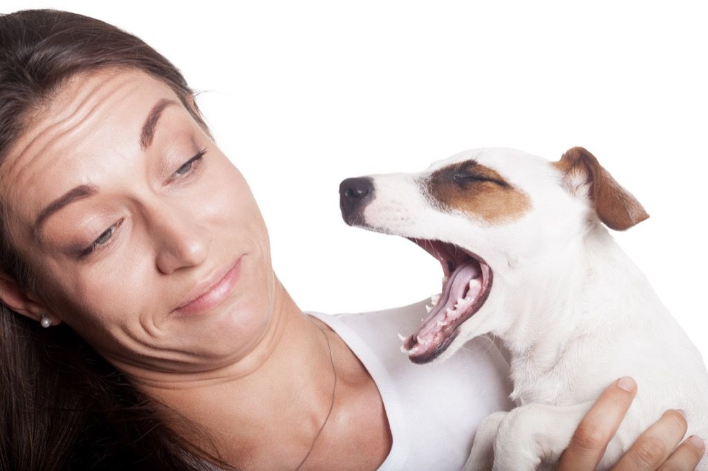 30 señales sutiles de que algo anda mal con tu perro