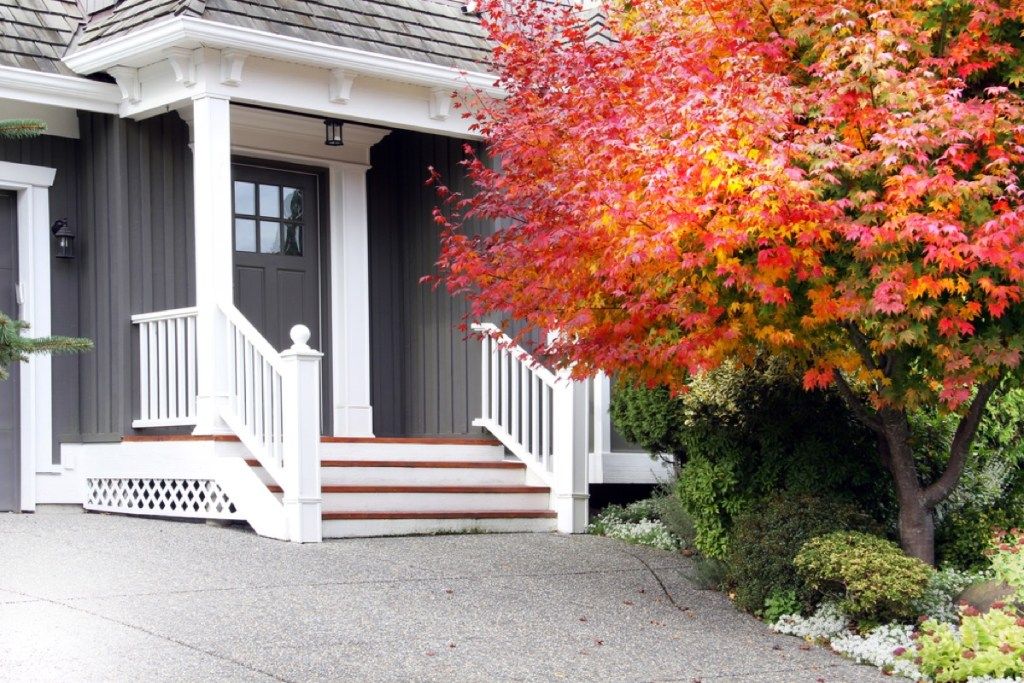 Adoquines en frente de la casa gris con árbol rojo en la parte delantera