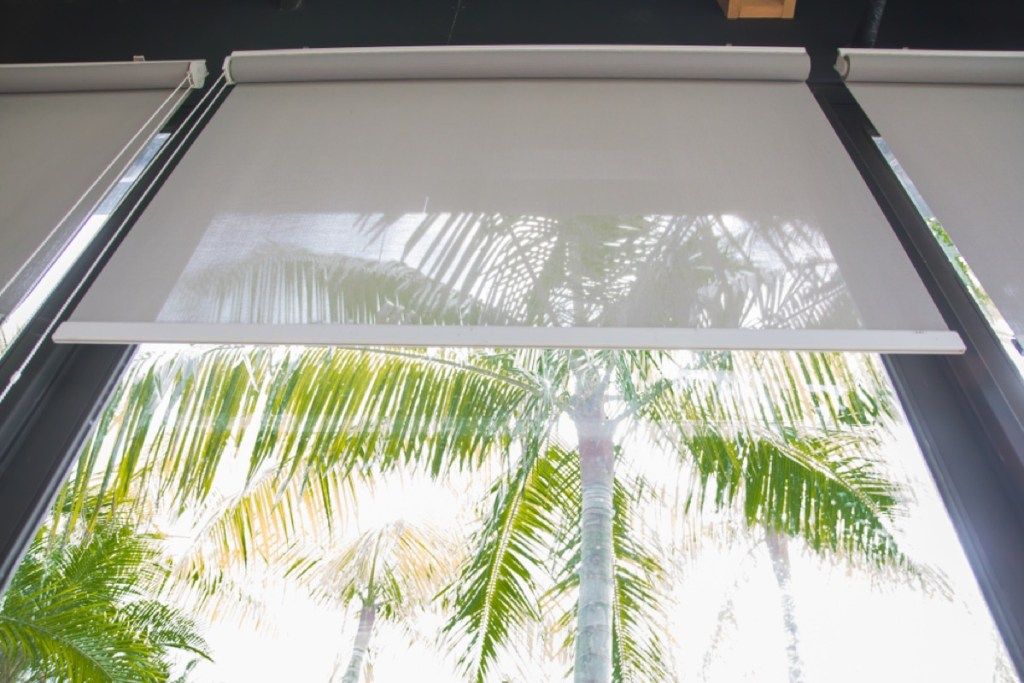 hvide nuancer på vinduet foran palmer