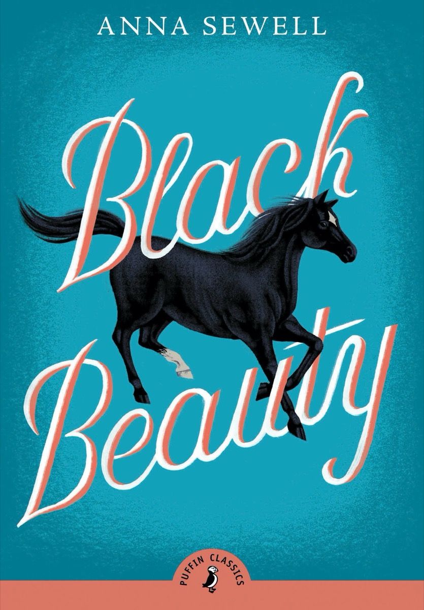 „Black Beauty“ knygos viršelis