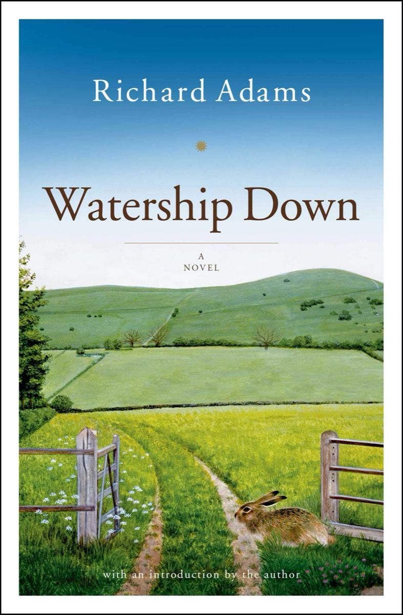 „Watership Down“ knygos viršelis