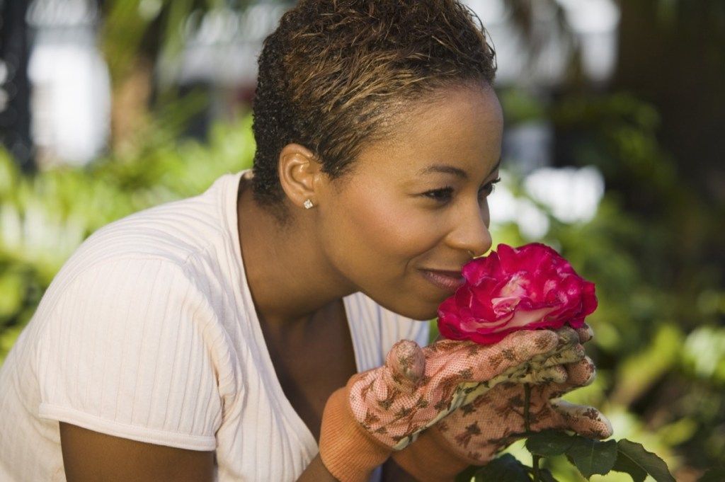 Žena koja njuši lijepi cvijet dok vrtlari