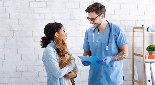   Seorang wanita memegang anjingnya sambil berbicara dengan dokter hewan dengan clipboard