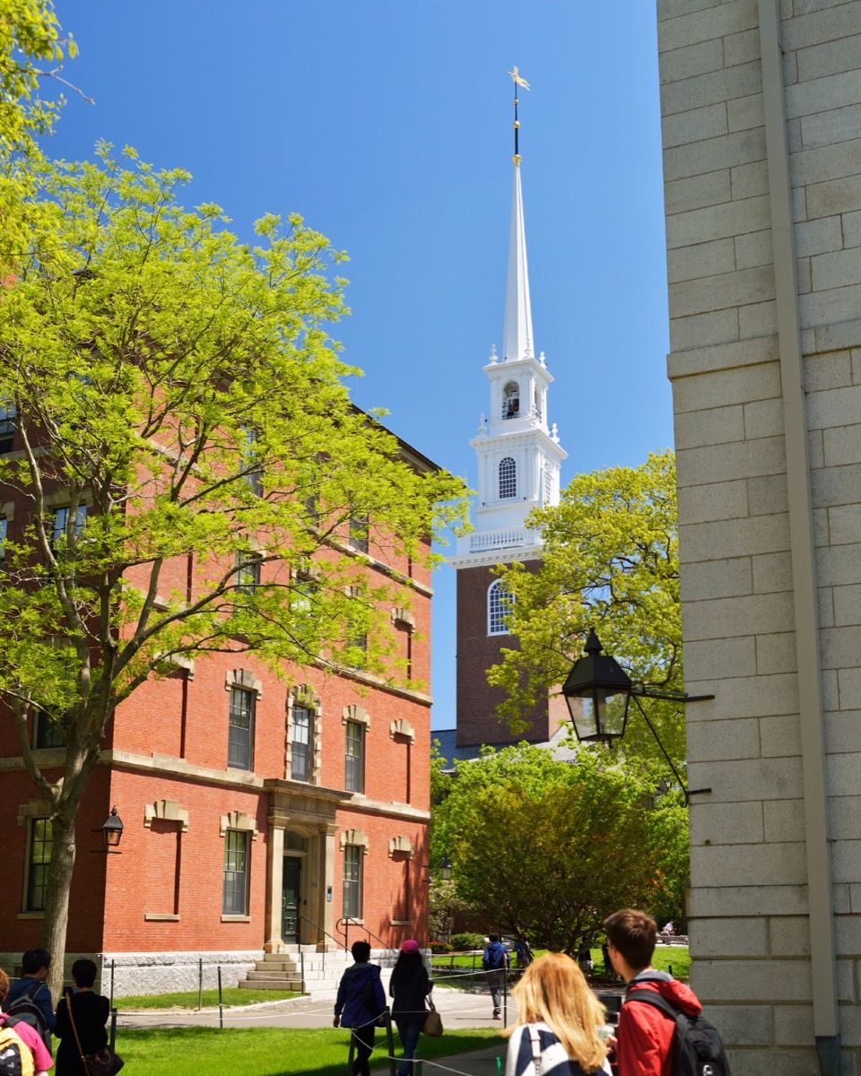 Thay salė Harvarde
