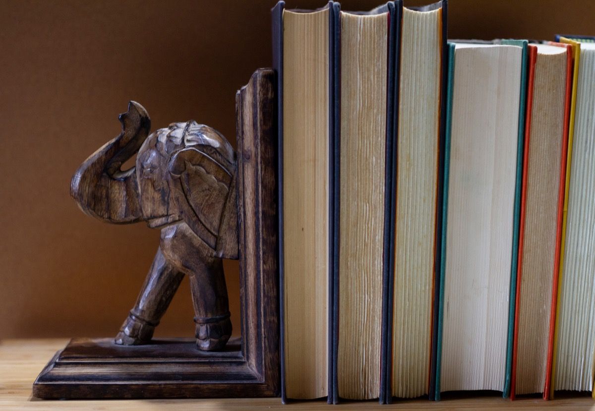 dramblio knygelė šalia knygų šūsnio