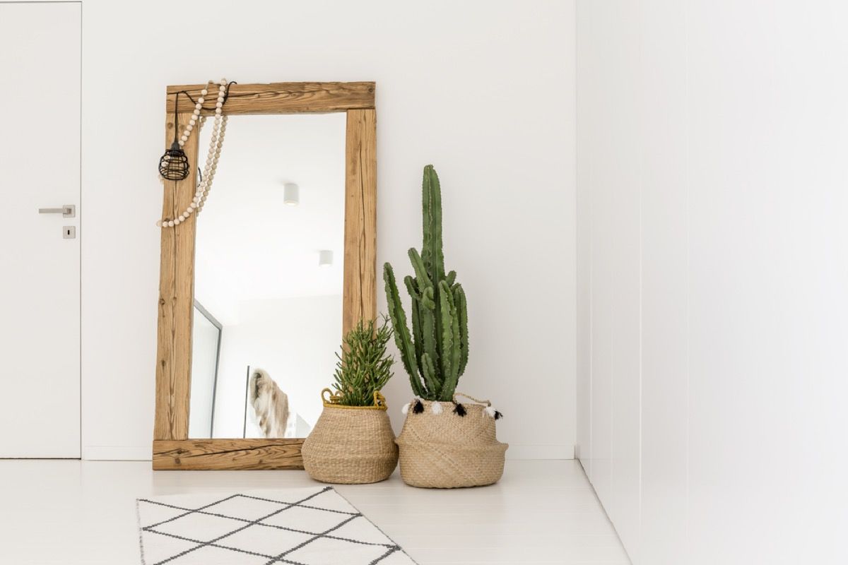 negabaritinis veidrodis su kaktusais priešais jį baltuose šiuolaikiniuose namuose