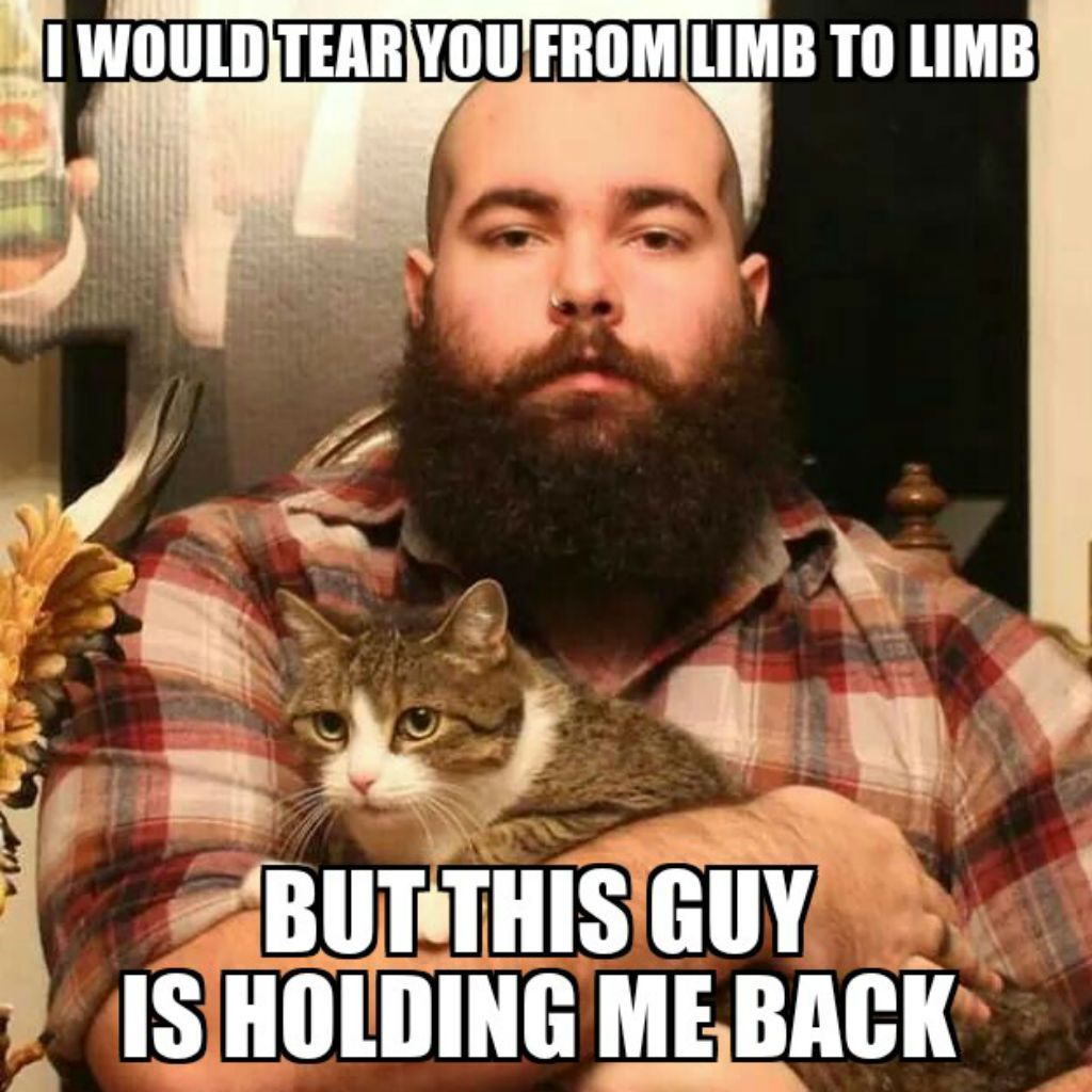 Hold me back gato memes