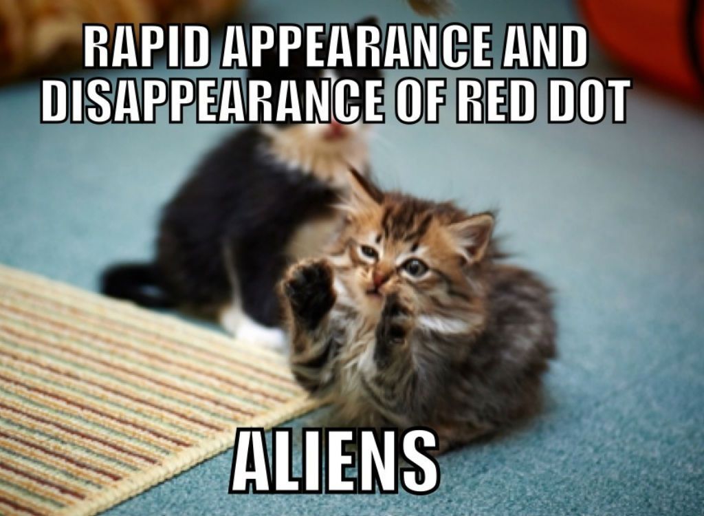 Memes de gatos extraterrestres