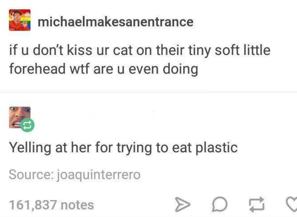Syöminen muovisia kissamemejä