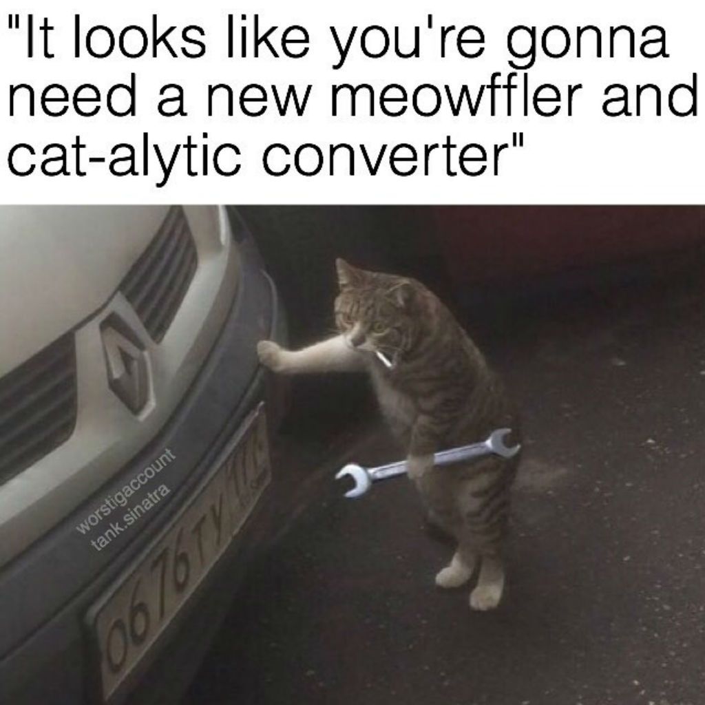 Мемове за котки с механика