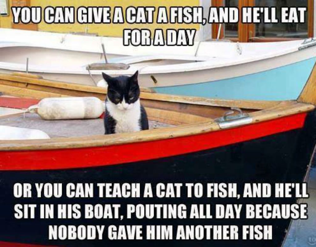 Zvejas kaķu memes