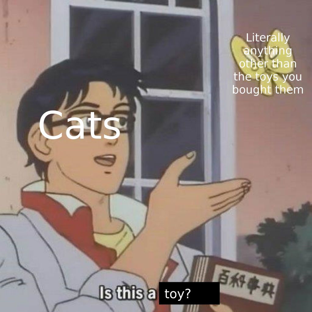 Memes del gato de juguete