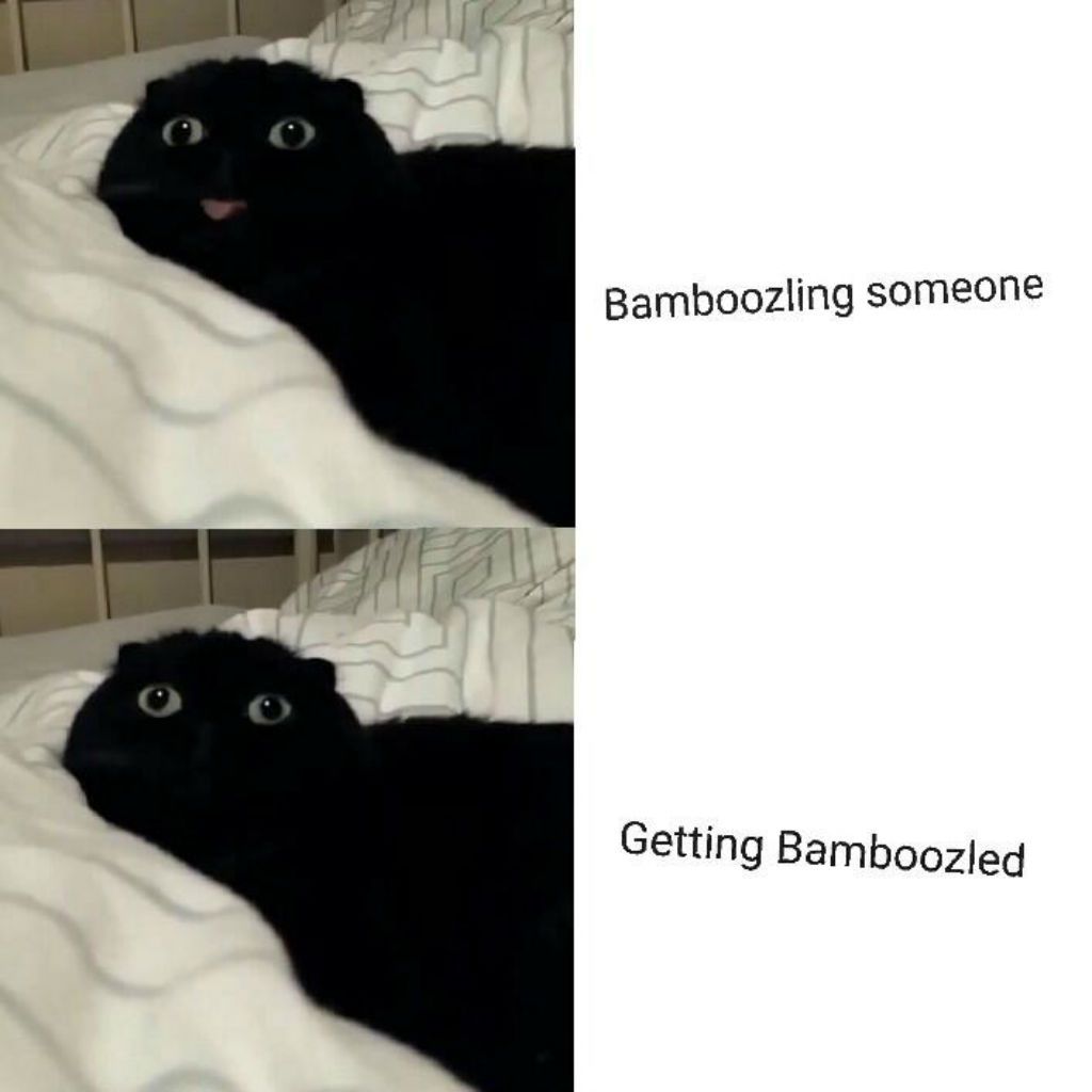 Bamboozled mačji memi