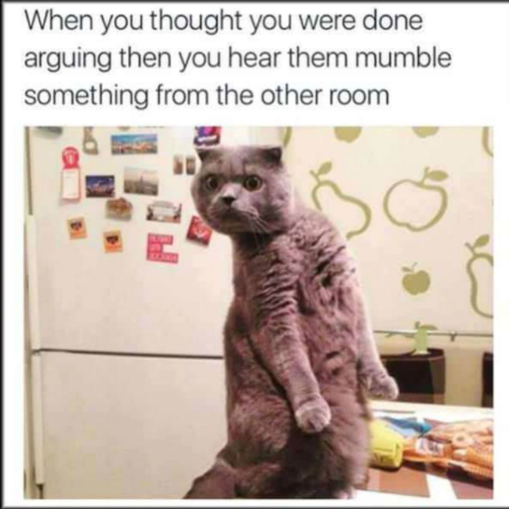 کمرے کے دوسرے بلی میمز