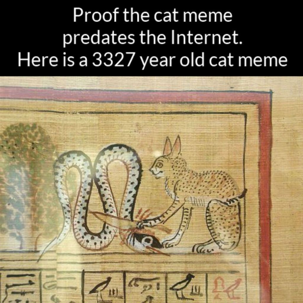 memes de gatos antiguos