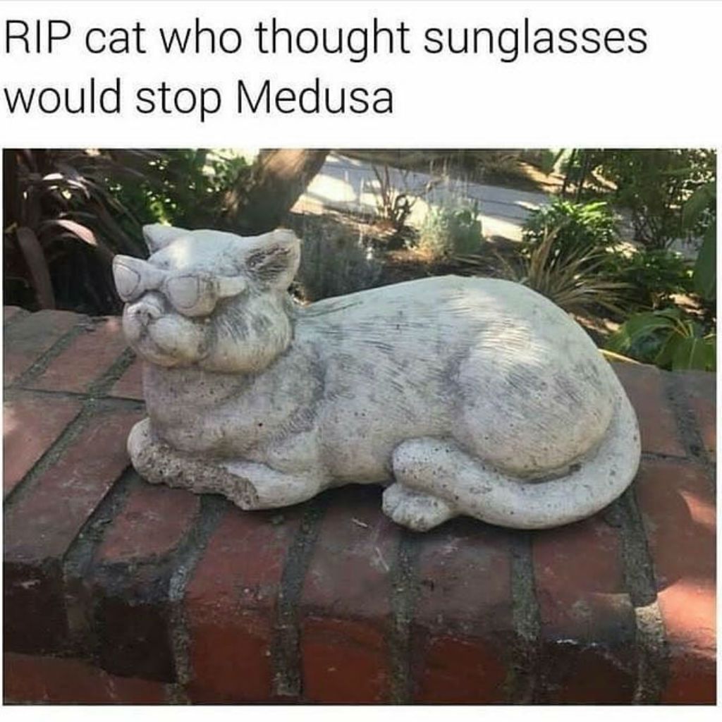 Medusa kassi meemid