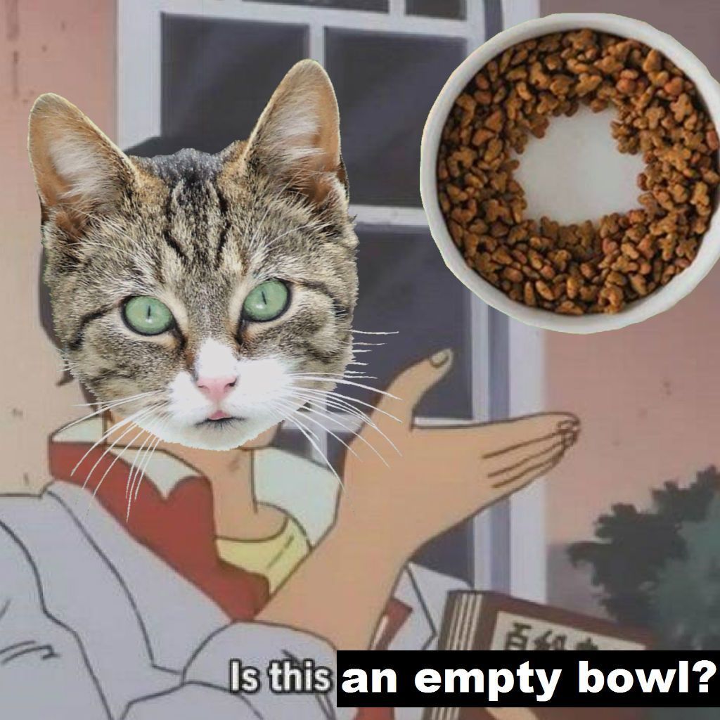 Tukšas kaķu kaķu memes