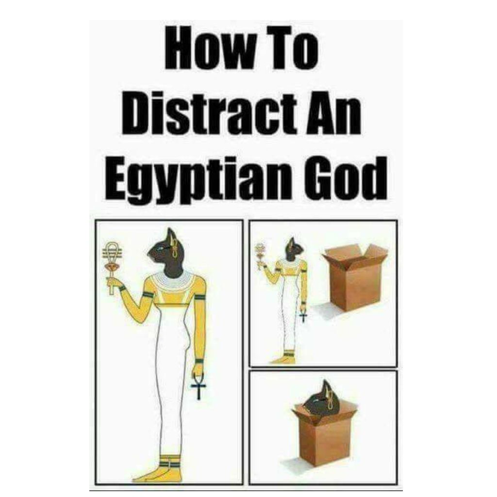 Memes de gatos egipcios