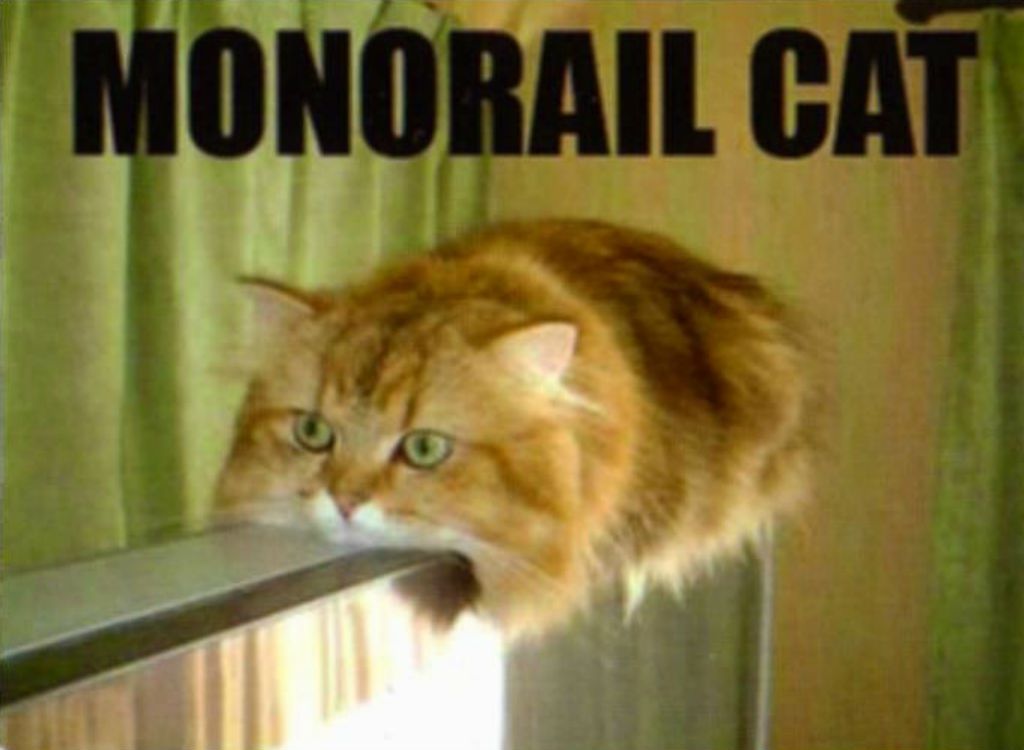 Memes de gatos monorraíl