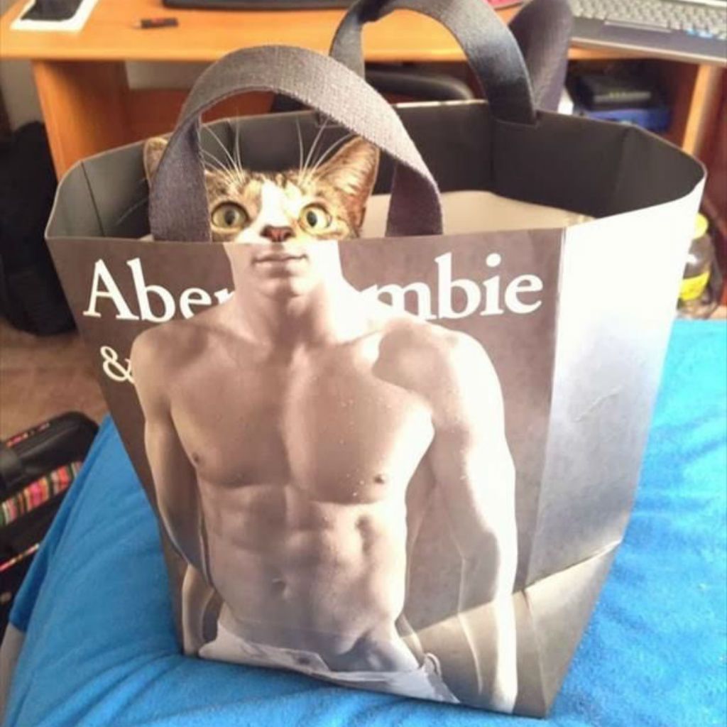 Abercrombie коти меми