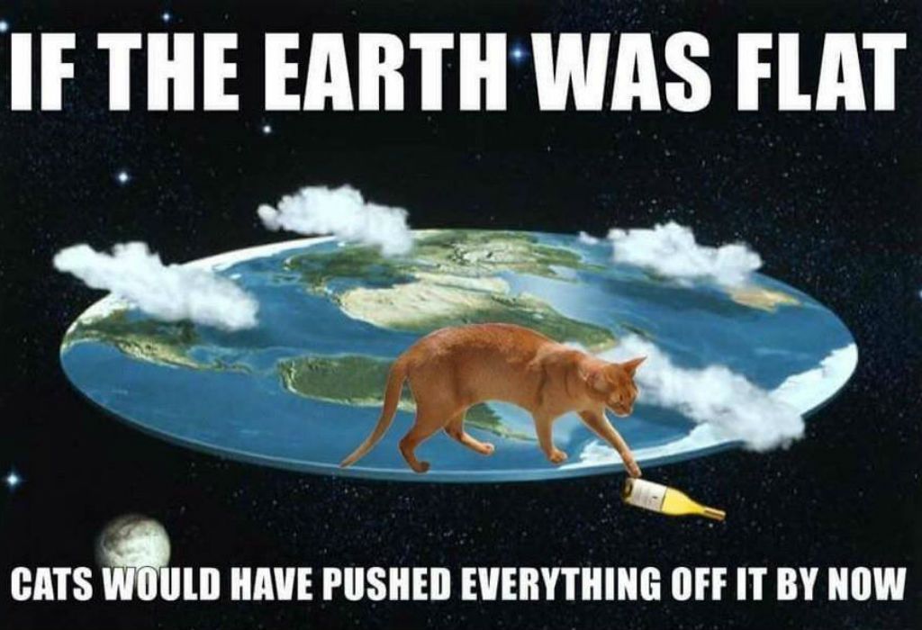 Memes de gatos de tierra plana