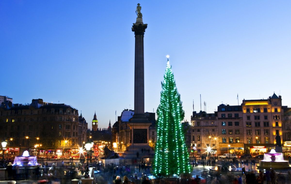 Kalėdų eglutė su žaliomis šviesomis Trafalgar aikštėje Londone naktį